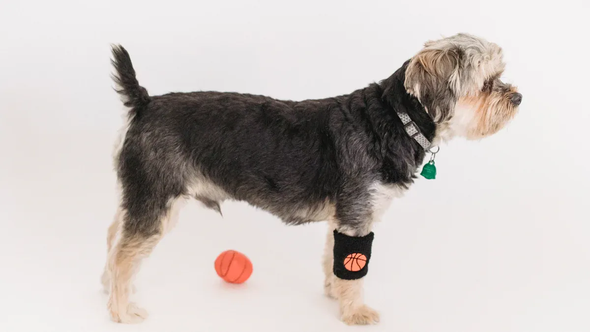 Dog Leg Brace Fit & Comfort