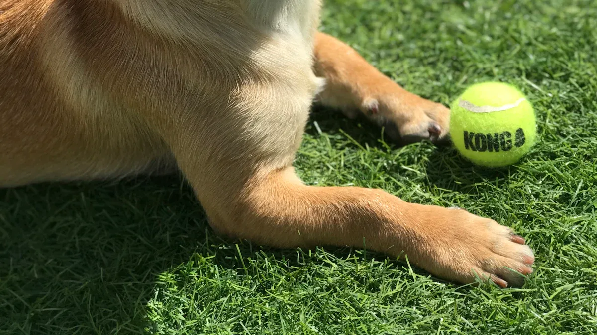 The Canine Prosthetic Fitting Process
