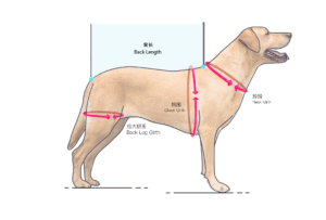 full body dog lift harness, with adjustable, control handle, reflective straps, for senior dogs, post surgery recovery, dogs with joint problems.